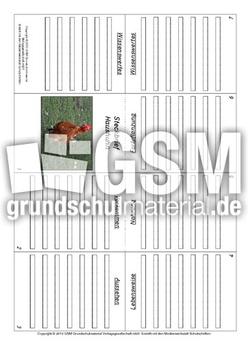 Faltbuch-Haushuhn.pdf